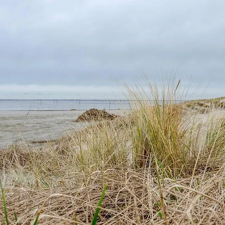 Apartamento Neumann Neuschoo