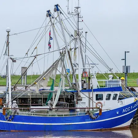 Apartamento Neumann *