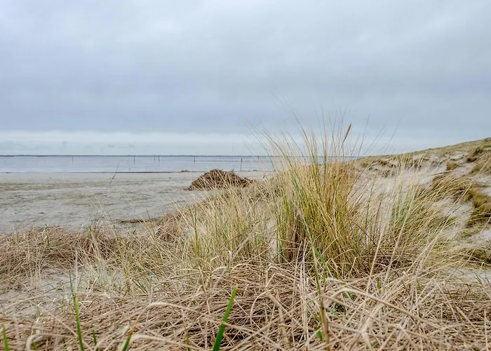 Apartamento Neumann Neuschoo